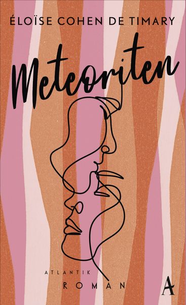 Cover von Meteoriten