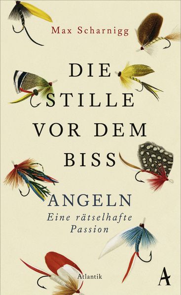 Cover von Die Stille vor dem Biss