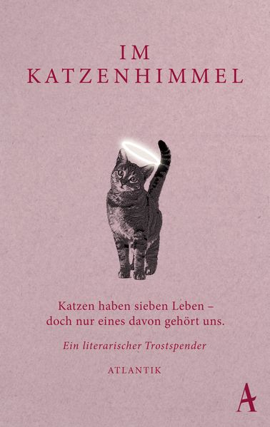Cover von Im Katzenhimmel