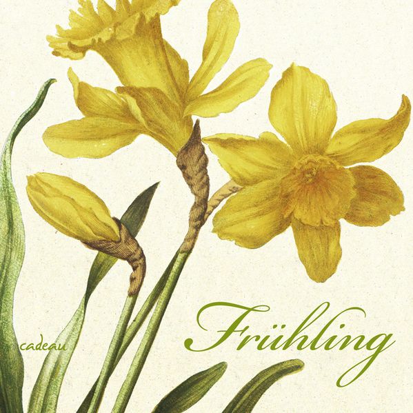 Cover von Frühling