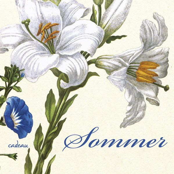Cover von Sommer
