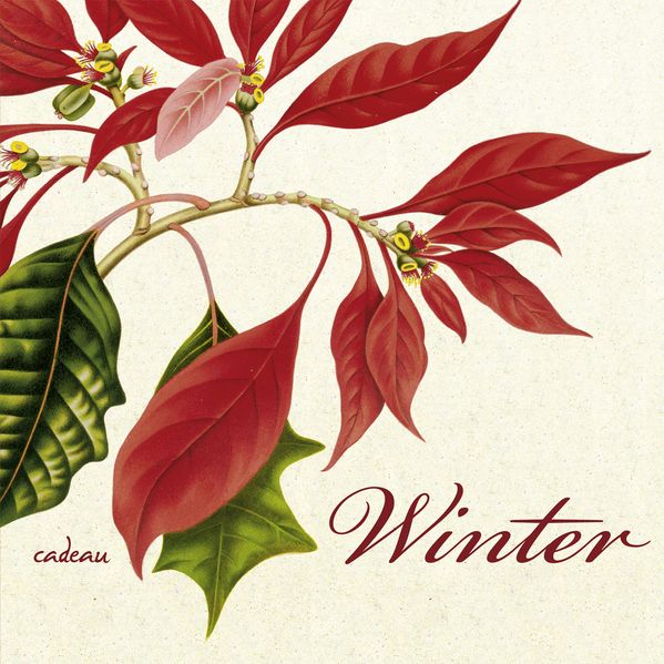 Cover von Winter