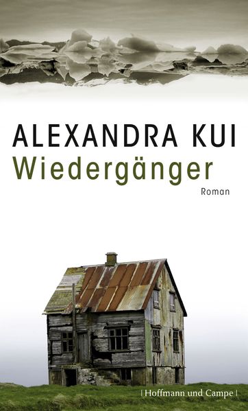 Cover von Wiedergänger