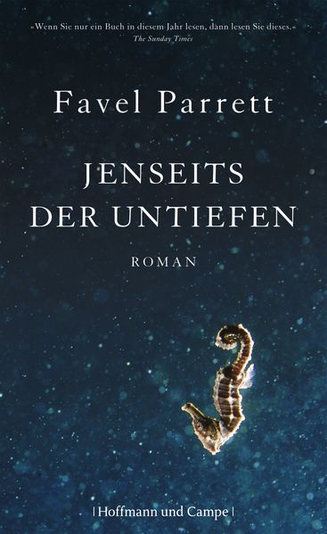 Cover von Jenseits der Untiefen