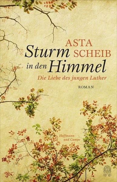 Cover von Sturm in den Himmel
