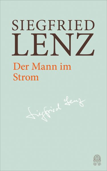 Cover von Der Mann im Strom