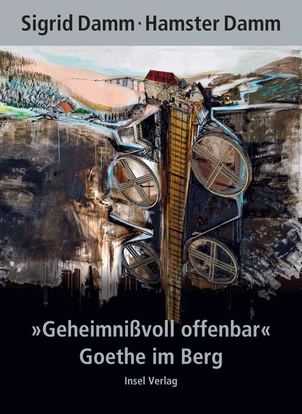 Cover von „Geheimnißvoll offenbar“. Goethe im Berg