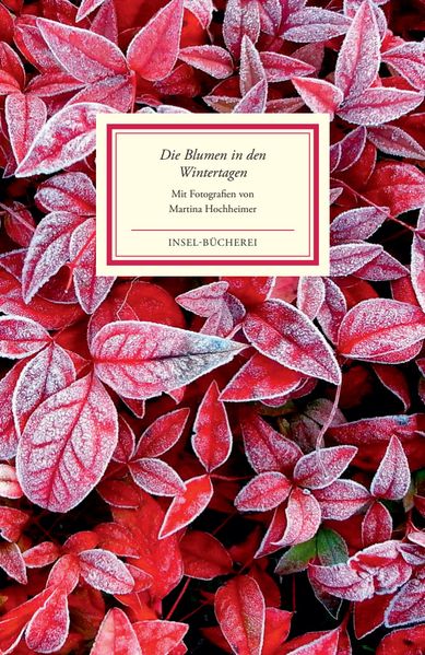 Cover von Die Blumen in den Wintertagen