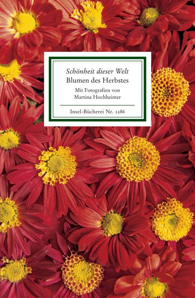 Cover von »Schönheit dieser Welt«. Blumen des Herbstes