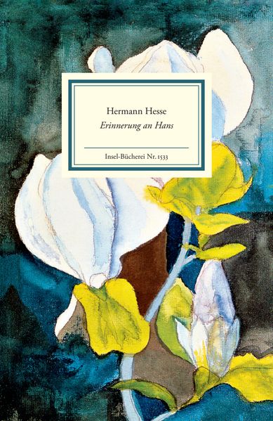Cover von Erinnerung an Hans