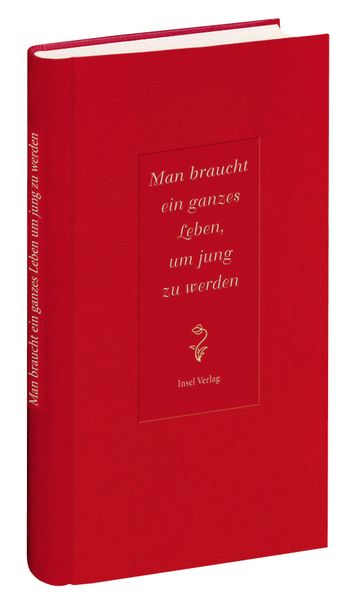 Cover von Man braucht ein ganzes Leben, um jung zu werden