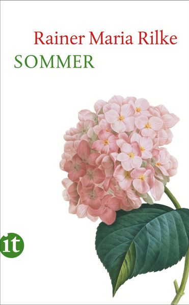 Cover von Sommer