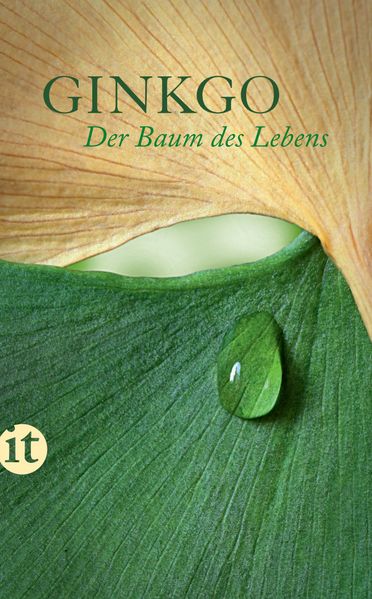 Cover von Ginkgo