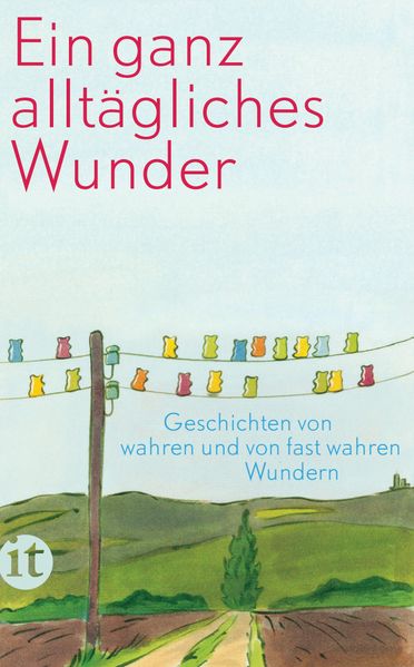 Cover von Ein ganz alltägliches Wunder