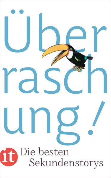 Cover von Überraschung!