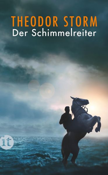 Cover von Der Schimmelreiter