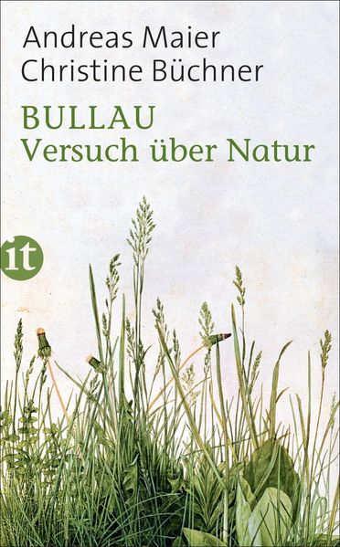 Cover von Bullau