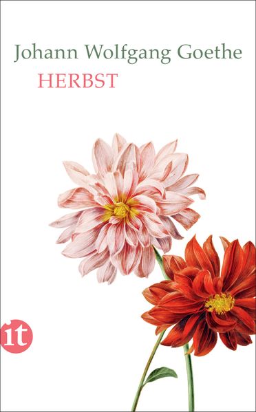 Cover von Herbst