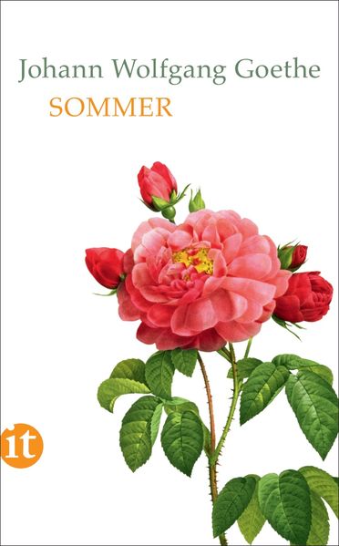 Cover von Sommer