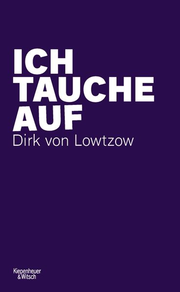Cover von Ich tauche auf