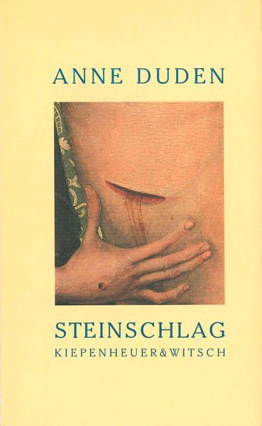 Cover von Steinschlag