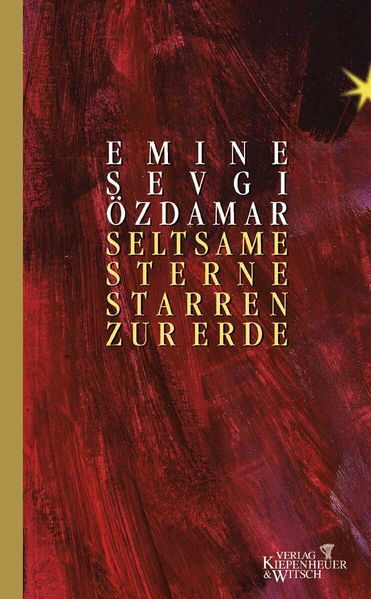 Cover von Seltsame Sterne starren zur Erde