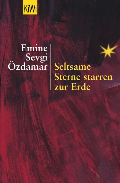 Cover von Seltsame Sterne starren zur Erde