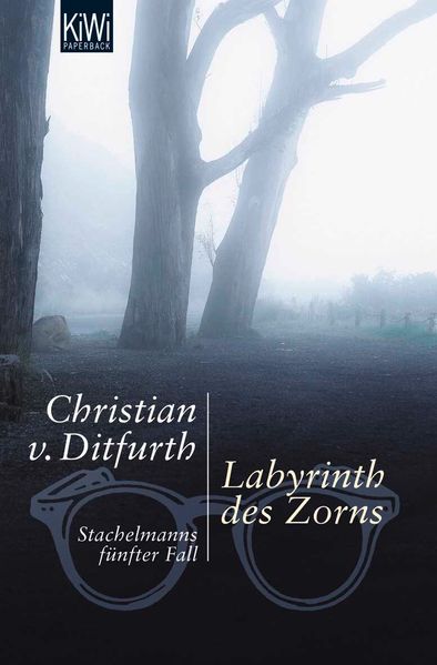 Cover von Labyrinth des Zorns