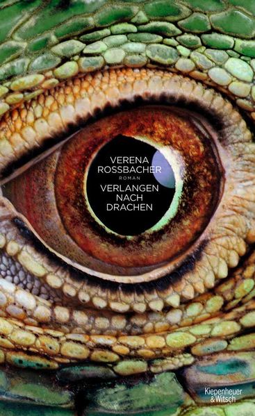 Cover von Verlangen nach Drachen