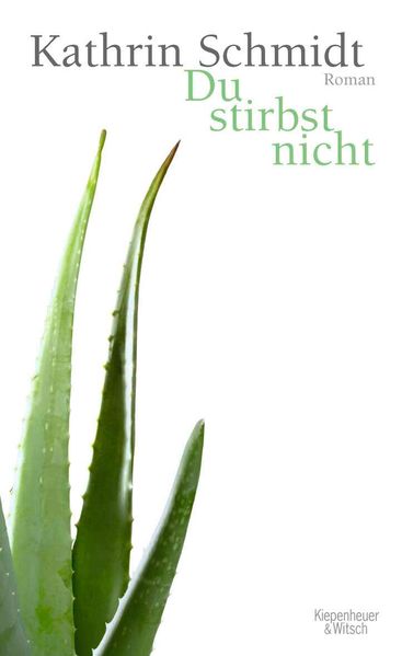 Cover von Du stirbst nicht