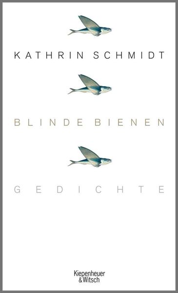 Cover von Blinde Bienen