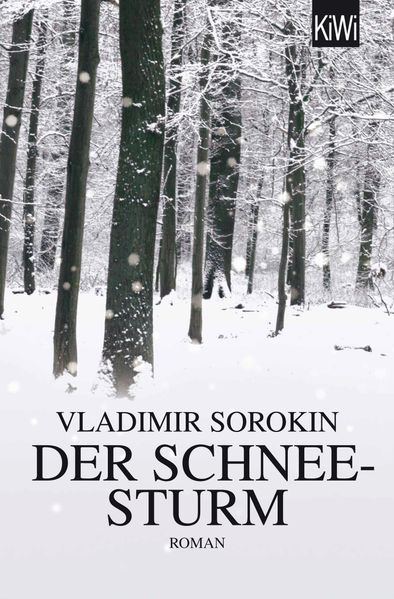 Cover von Der Schneesturm