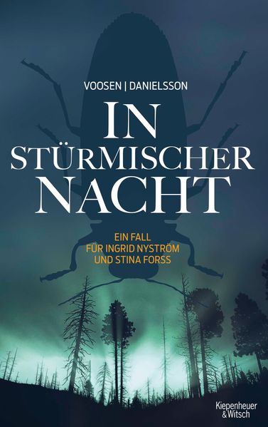 Cover von In stürmischer Nacht