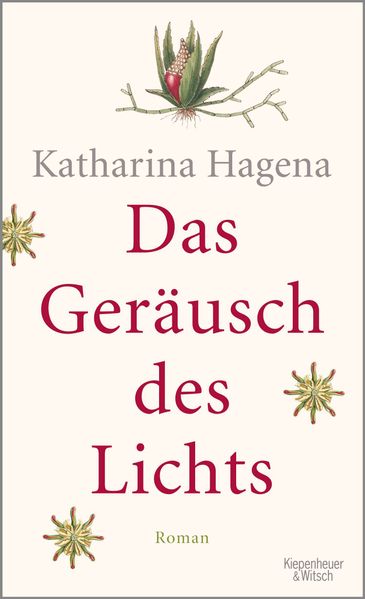 Cover von Das Geräusch des Lichts