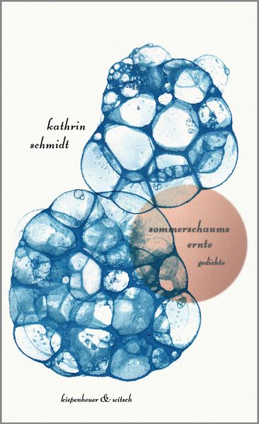 Cover von sommerschaums ernte