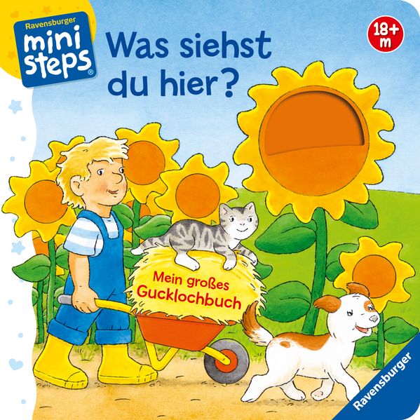 Cover von Was siehst du hier? Mein großes Gucklochbuch