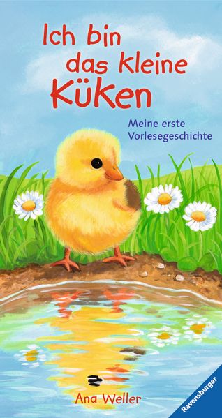 Cover von Ich bin das kleine Küken