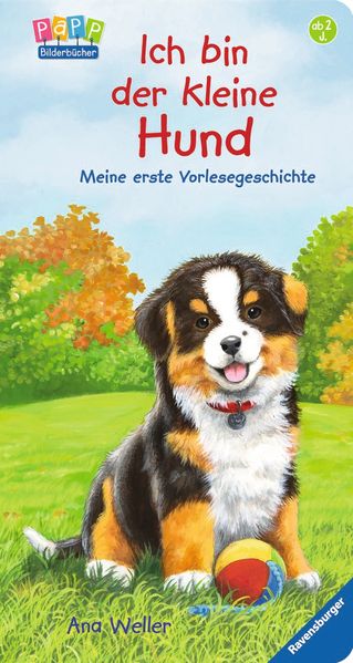 Cover von Ich bin der kleine Hund