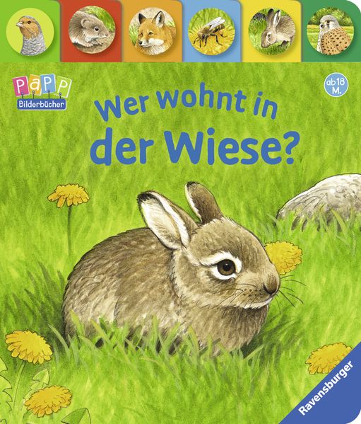Cover von Wer wohnt in der Wiese?