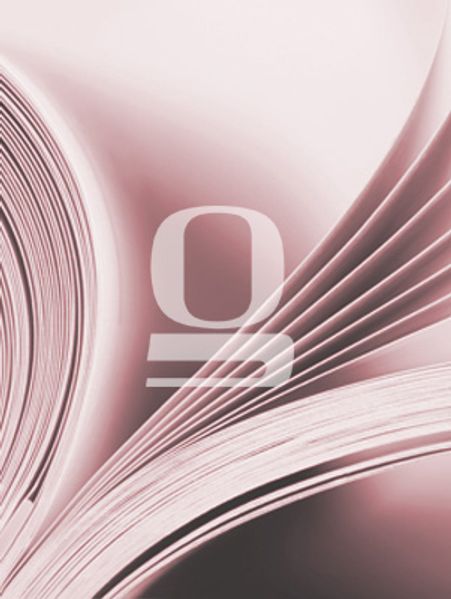 Cover von Puebla oder Der Schatz der Ynkas