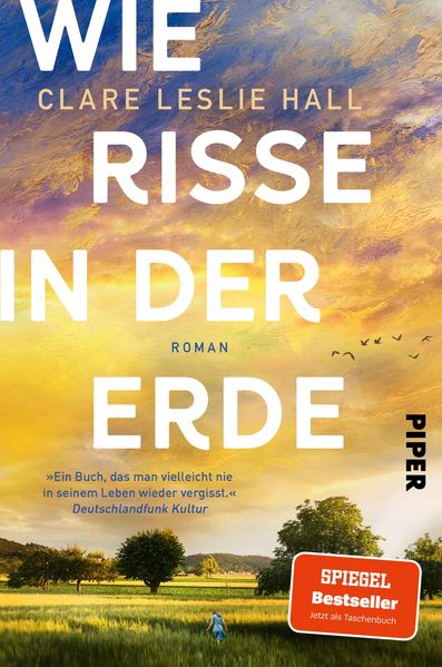 Cover von Wie Risse in der Erde