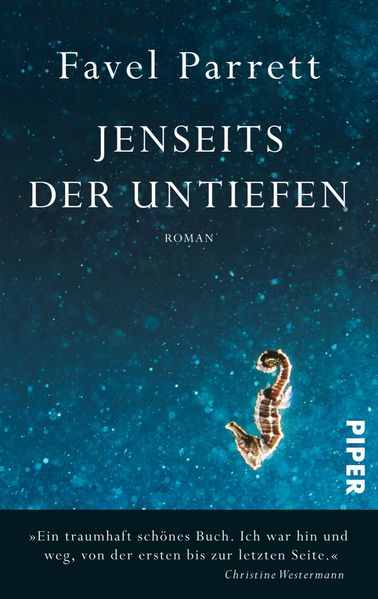 Cover von Jenseits der Untiefen