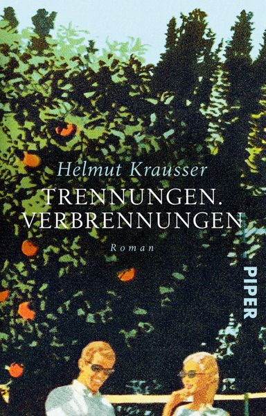 Cover von Trennungen. Verbrennungen