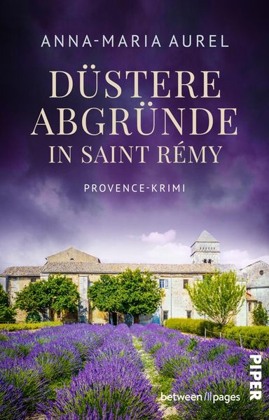 Cover von Düstere Abgründe in Saint Rémy