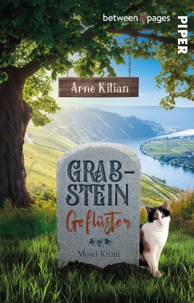 Cover von Grabsteingeflüster