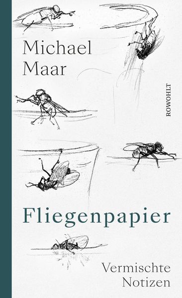 Cover von Fliegenpapier