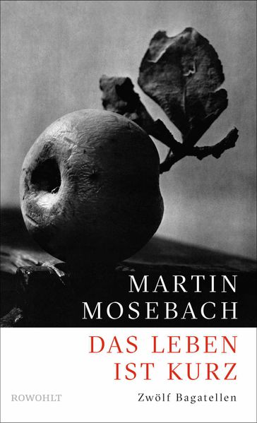 Cover von Das Leben ist kurz