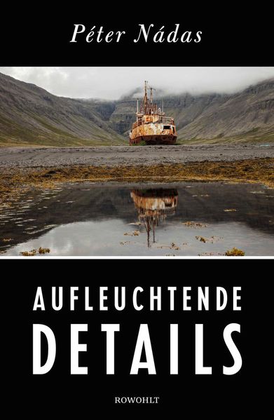 Cover von Aufleuchtende Details