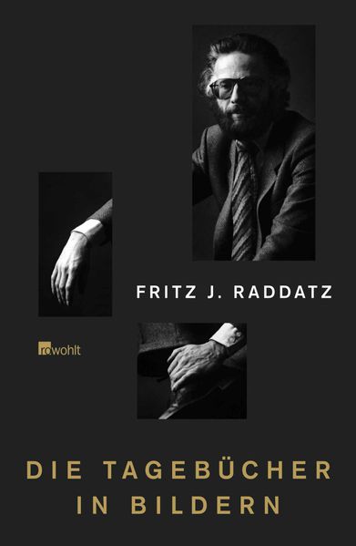 Cover von Die Tagebücher in Bildern