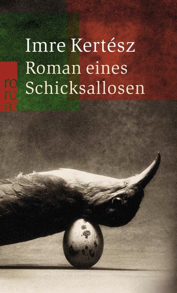 Cover von Roman eines Schicksallosen